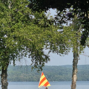 Orange & yellow Sunfish sail